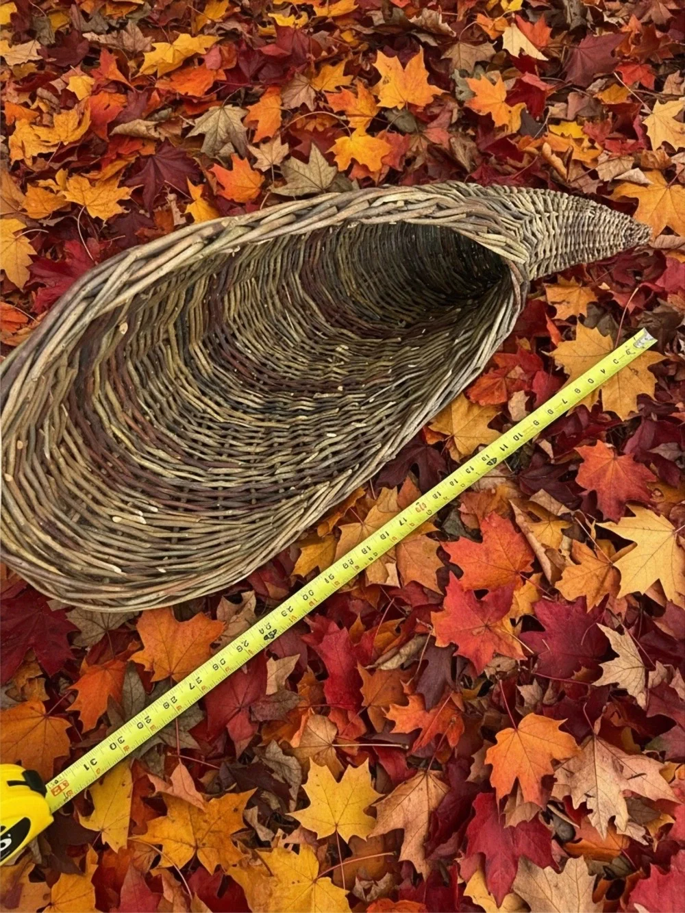 HTF XL 32” Artisan Woven Willow Cornucopia Basket Thanksgiving Fall Decor